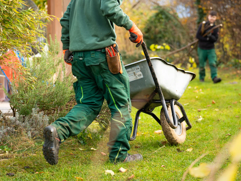 Landscaper in green work gear pushing a wheelbarrow across a lawn