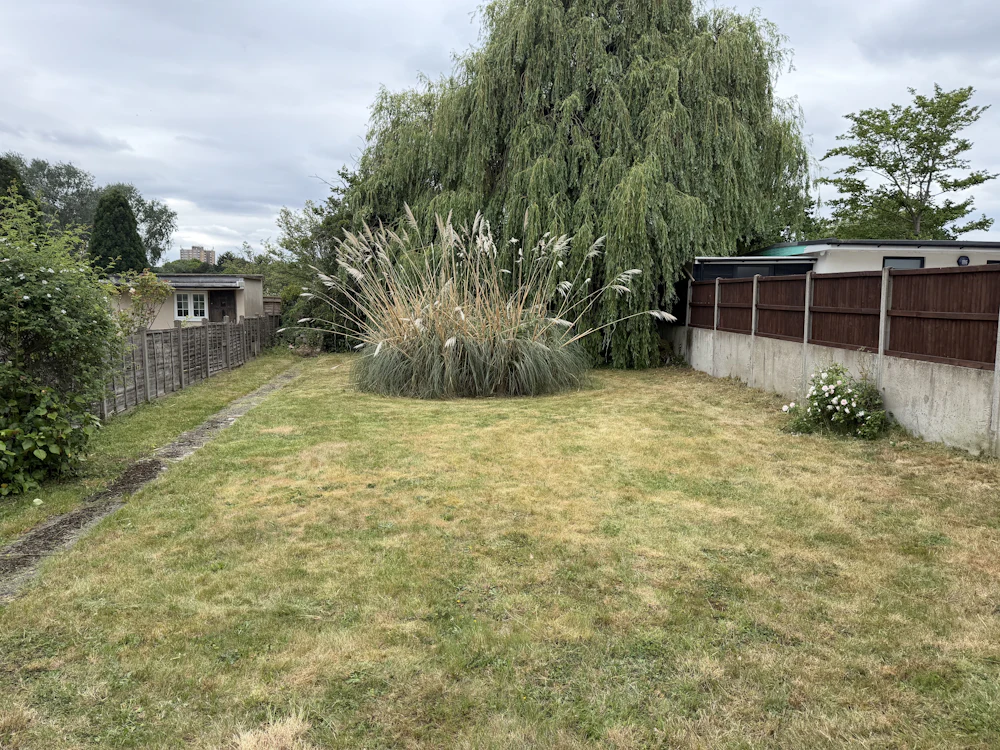 Before: dry, patchy lawn with an old fence