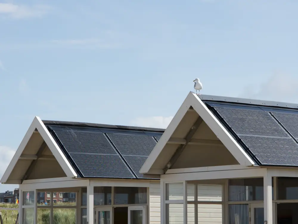 Homes with solar panels on a sunny day