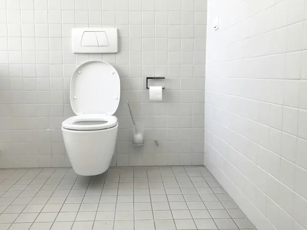 Wall-hung toilet in a tiled bathroom
