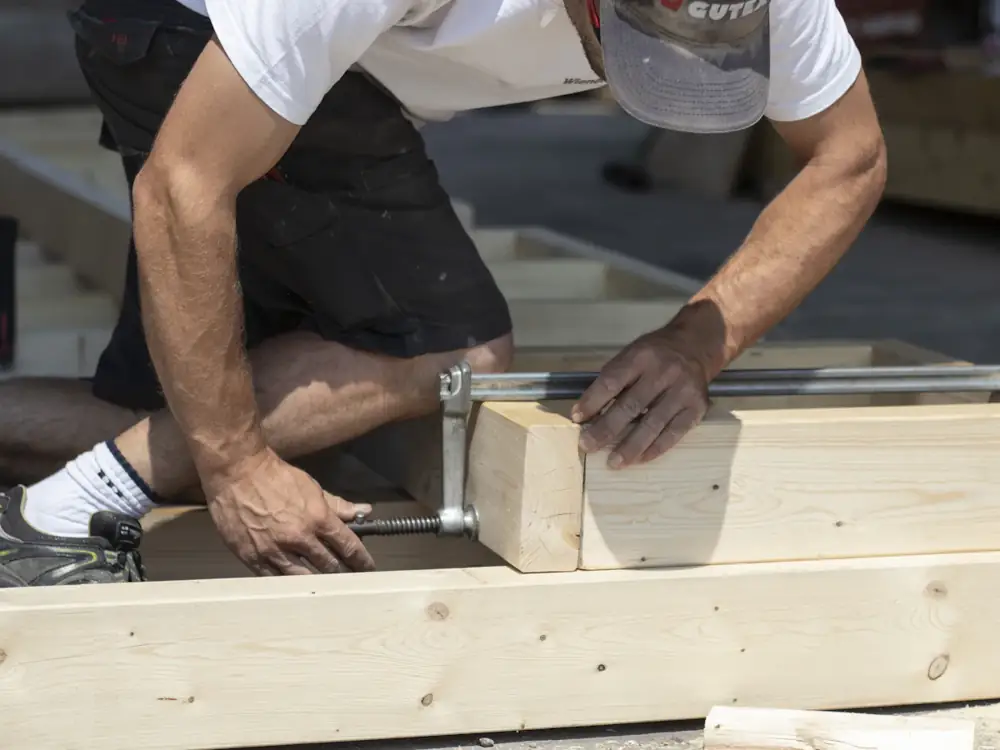 Carpenter clamping a length of framing timber on site