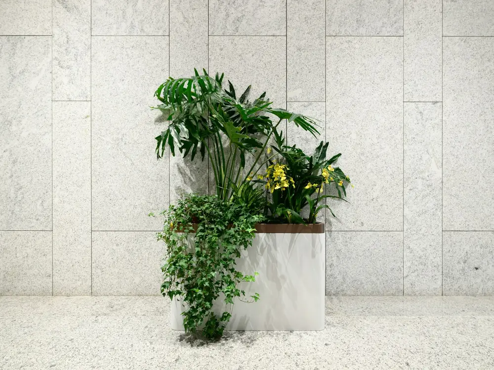Large-format honed stone wall tiles behind a planter of tropical plants